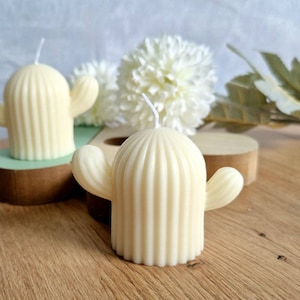 Cactus Candle, Plant Candle, Motif Candle Gift