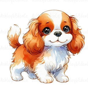 18 Cavalier King Charles Spaniel, Clipart di cani carini, Clipart di cuccioli, Cane Cavalier, Ritratto di cane Cavalier, png, Download digitale