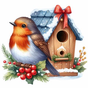 Watercolor Christmas Robin Clipart: Bird Prints, PNG, Printable Digital Download, Commercial Use