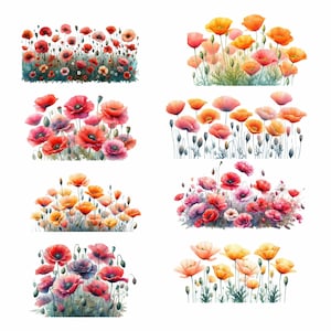 15 Aquarell Mohnblumen Clipart, Kalifornischer Mohn Wildblumen Clipart, Wildblumenwiese, PNG, Blumenrahmen, digitale Clipart
