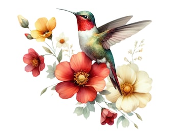 20 PNG Humming Bird Clipart, Birds Art,  Humming birds, Hummingbird Clipart Bundle, Birds Clipart, Digital download, Commercial Use