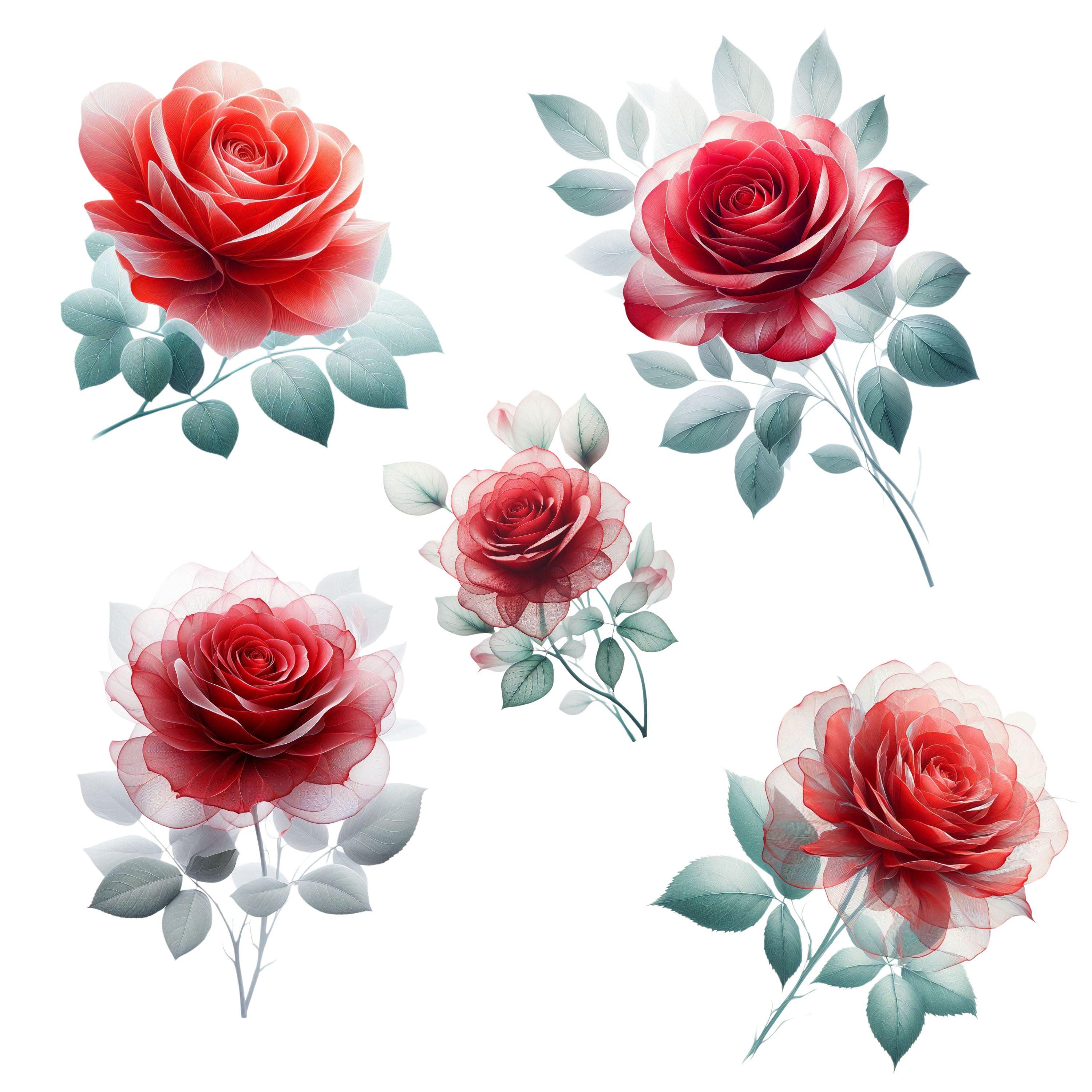 Red White Roses Abstract 16 Red Rose Abstracts, Rose Flower Clipart, Florals, Wedding Prints ...