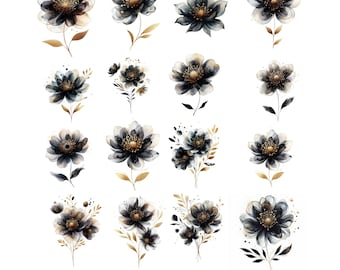 Fleurs noires : Clipart fleur aquarelle, PNG, téléchargement numérique
