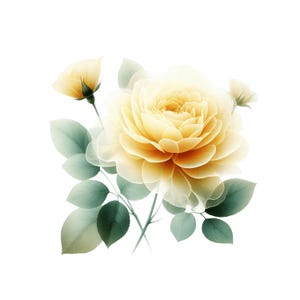 10 Yellow Rose Borders, Rose Flower Abstracts, Clipart, Roses, Floral Prints, Card making, PNG, Printable Digital Download, Commercial Use