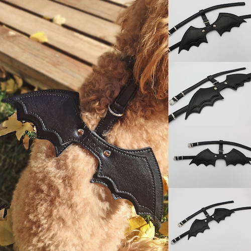 Dog Harness With Wings Pet Collar Leather Dog/cat Collar Etsy