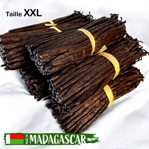 10 Madagaskar-Bourbon-Vanilleschoten, 18+ cm, 42 g