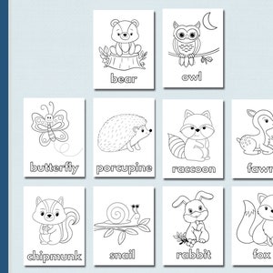 10 Woodland Animal Coloring Pages Free: Unleash Your Inner Artist
