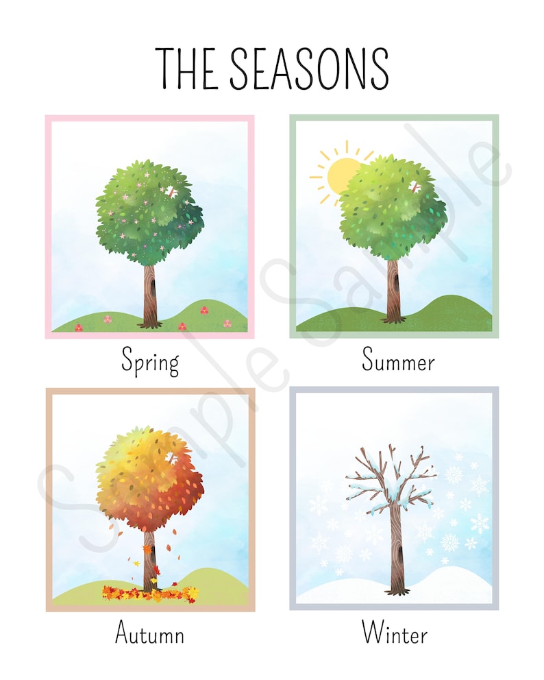 Seasons Chart Printable Seasons of the Year Educational Etsy