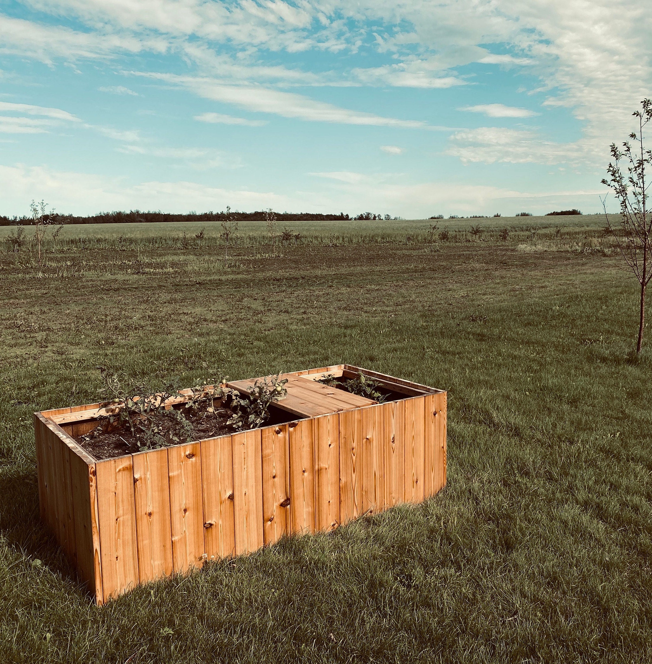 Cedar garden beds Etsy 日本