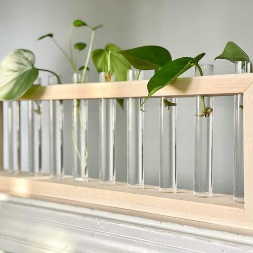 Modern Test Tube Propagation Stationlargetest Tubes Included Etsy