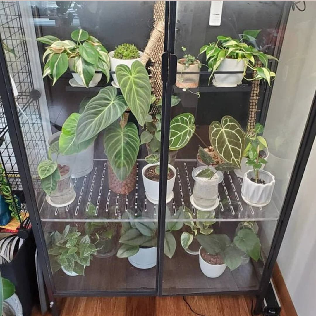 3/8 Thick Ikea Milsbo Wide Greenhouse Acrylic Shelves Etsy