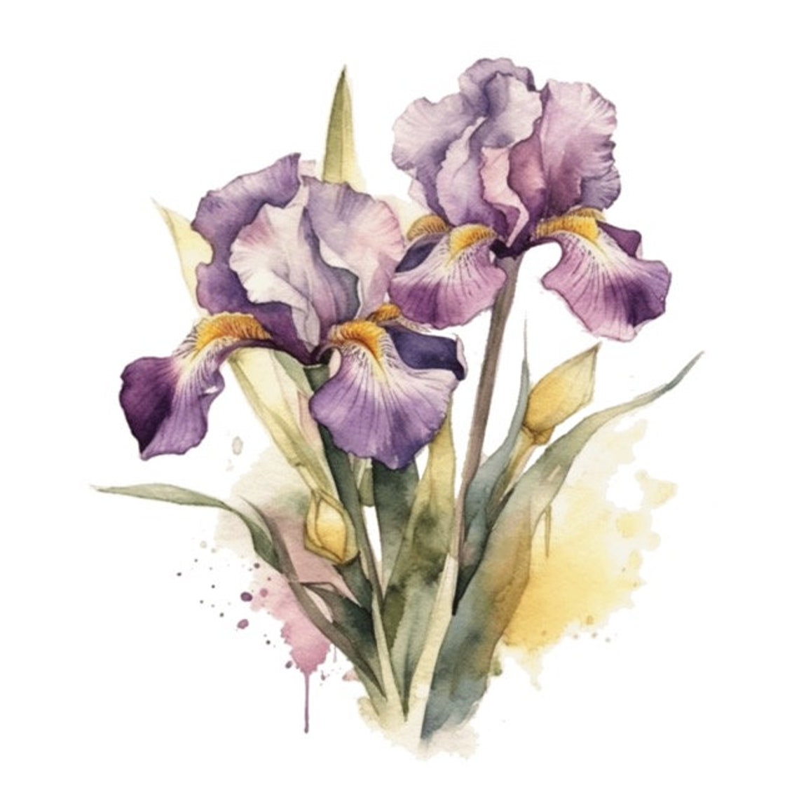 Iris Flower Floral Watercolor Clip Art 4 High Quality PNG - Etsy