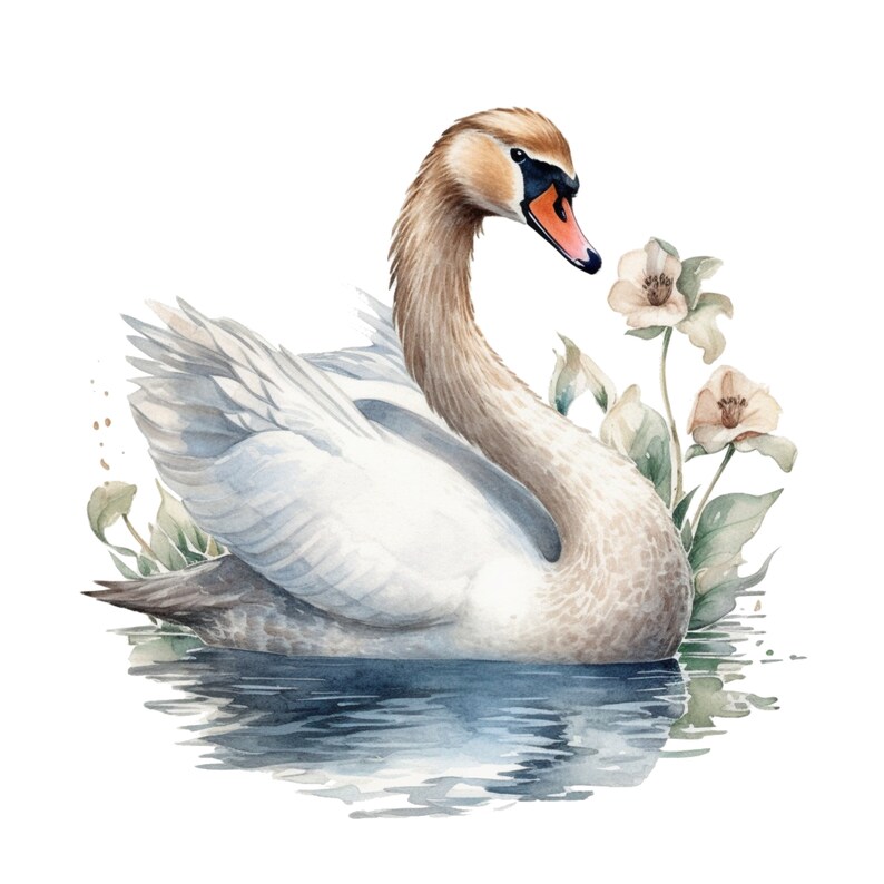 White Swan Clipart Clip Art 4 PNG Transparent Instant Download for ...