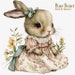 Tudor Bunny Rabbit Clipart 8 High Quality JPG Watercolor - Etsy