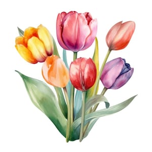 Tulip Flower Floral Tulips Bouquet Watercolor Clip Art 4 High Quality PNG Format Instant Download Commercial Use - 278