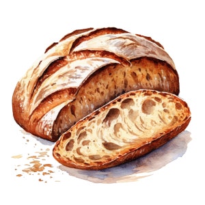 Sourdough Bread Watercolor Clip art 4 High Quality PNG Transparent Digital Download Card Making Crafts - 470