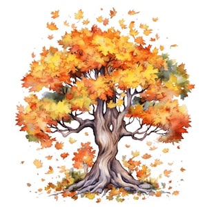 Könnte beinhalten: Ein Aquarellbild eines großen Baumes mit orangefarbenen, gelben und grünen Blättern. Der Baum ist von fallenden Blättern umgeben. Der Baumstamm ist dick und knorrig.
