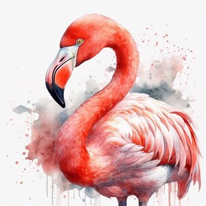 Flamant rose oiseau Clipart Clip Art 4 fichiers au format PNG Téléchargement instantané pour un usage commercial - 193