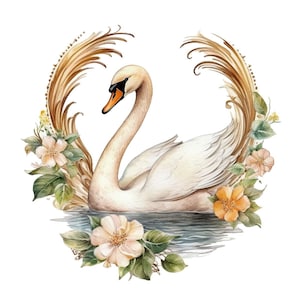 White Swan Bird Watercolor Clip Art 4 High Quality PNG Transparent Mix Media Collage Instant Download Commercial Use - 429