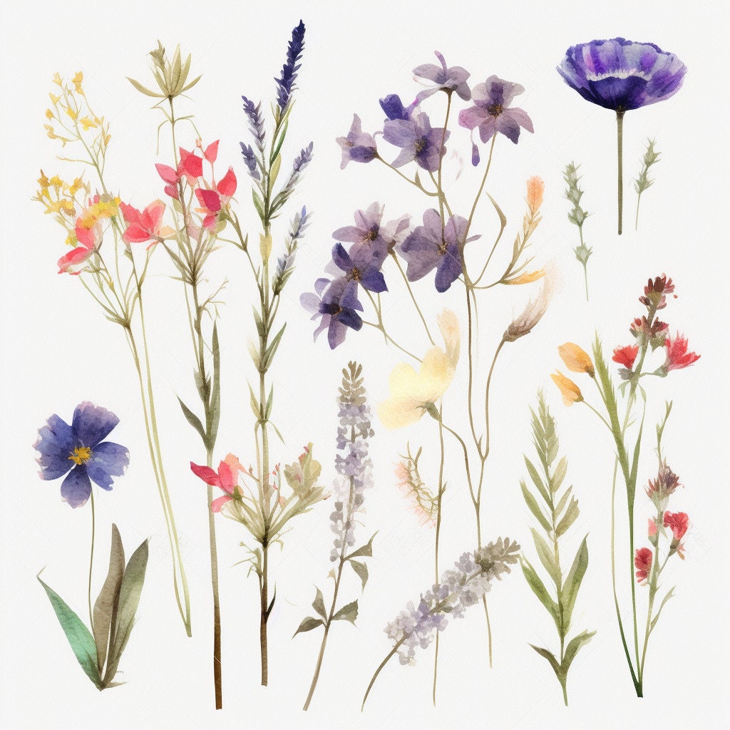 Watercolor Wild Flowers Clipart 8 High Quality JPG Watercolor - Etsy