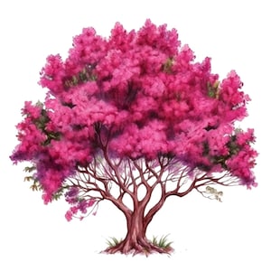 Dark Pink Crape Myrtle Tree Watercolor Clip Art 4 High Quality PNG Transparent Commercial Use Card Making Mix Media Scrap booking DIY  - 427