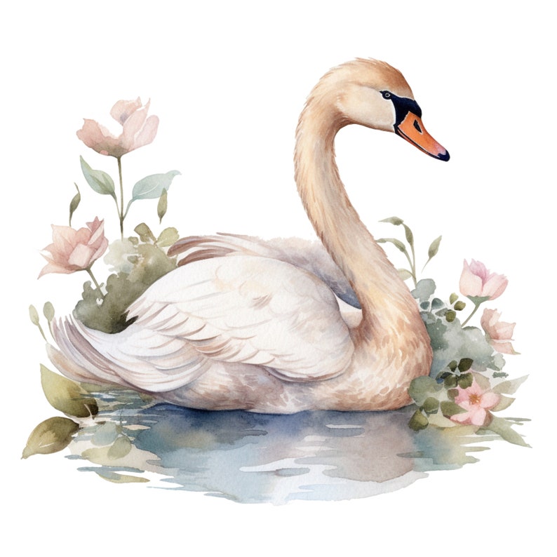White Swan Clipart Clip Art 4 PNG Transparent Instant Download - Etsy