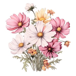 Peut inclure: Un bouquet de fleurs de cosmos roses et blanches avec des centres jaunes. Les fleurs sont disposées dans un style lâche et naturel et ont une ambiance douce et romantique.