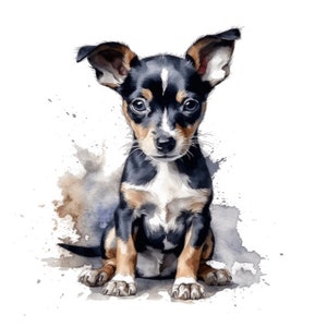 May include: A watercolor painting of a small black and white puppy with brown ears sitting on a white background with brown and blue watercolor splatters.
