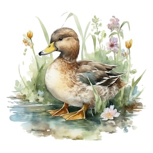 Duck Duckling Clipart Clip Art 4 PNG format instant download for commercial use - 246