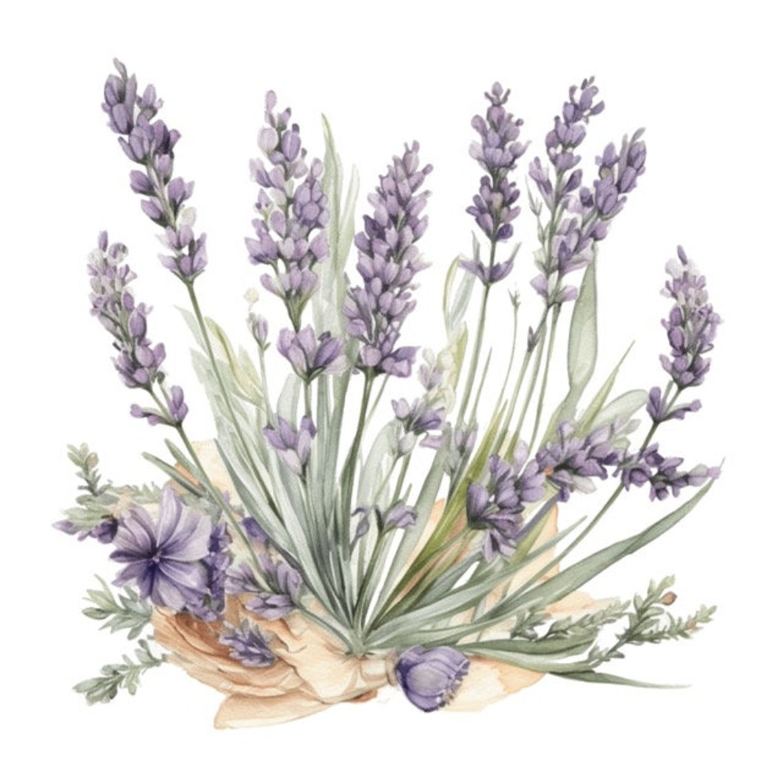 Lavender Flower Floral Watercolor Clip Art Sublimation Graphics 4 PNG ...