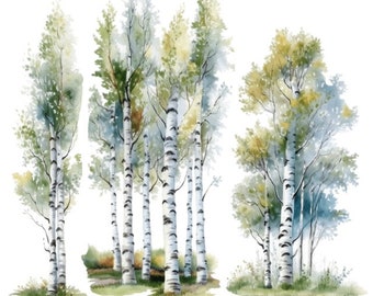 Birch Tree Watercolor Clip Art 4 High Quality PNG Format Instant Download Commercial Use - 408