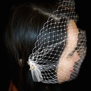 White Birdcage Veil with Silver Accent