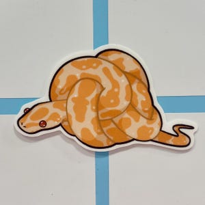 ball python needs help
