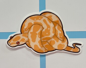 Le python royal a besoin d'aide