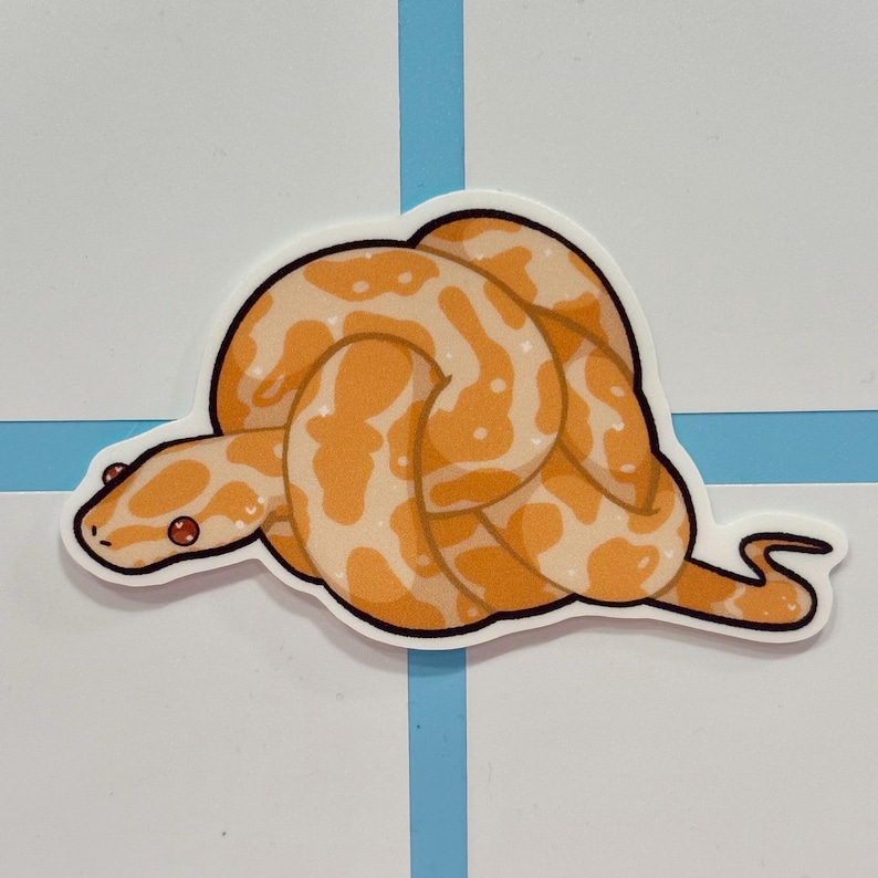 ball python needs help image 1