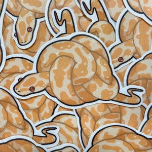 ball python needs help image 2