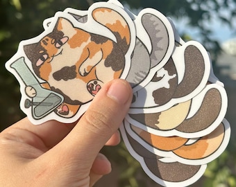 Sticker chat bang drôle, Sticker meme pour ordinateurs portables Bouteilles d'eau Carnets Hydroflasks, Weed Kitty