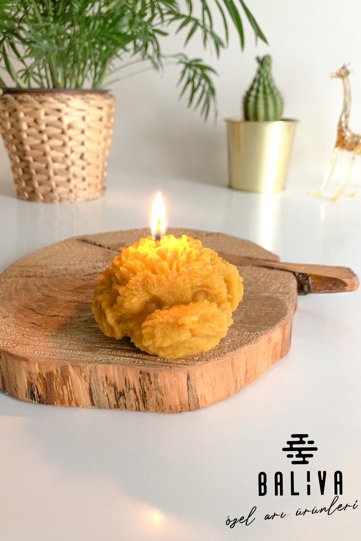 BalivaArt - Etsy