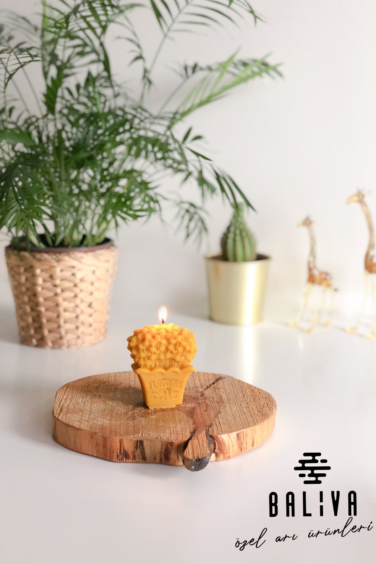 BalivaArt - Etsy