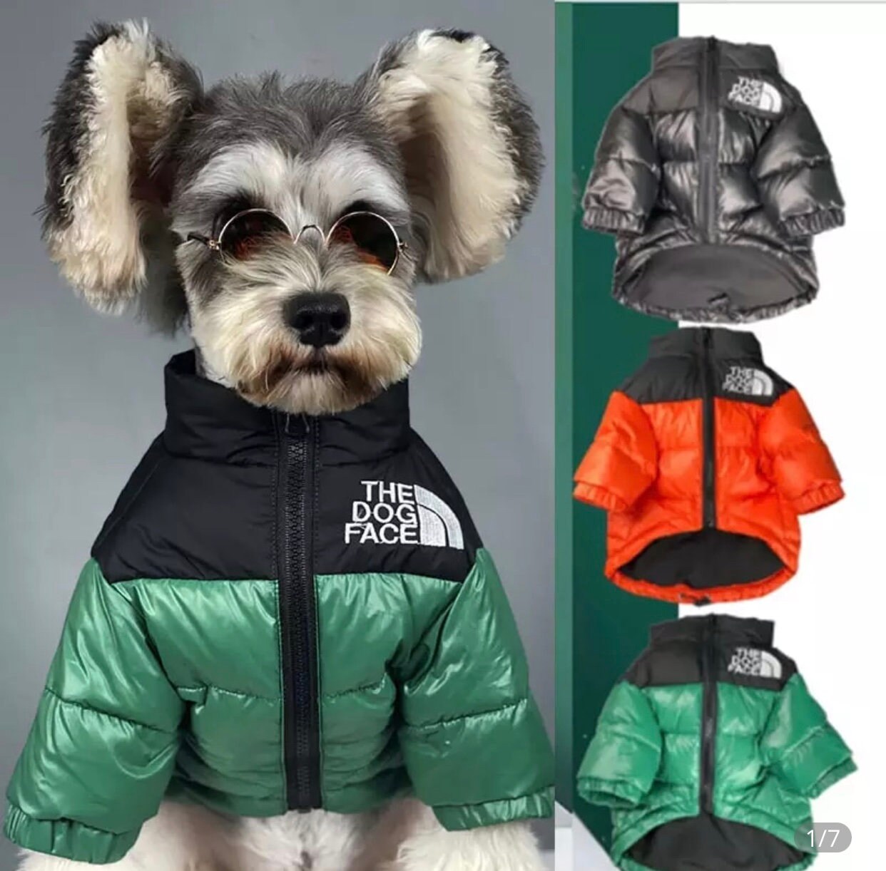 down jacket dog
