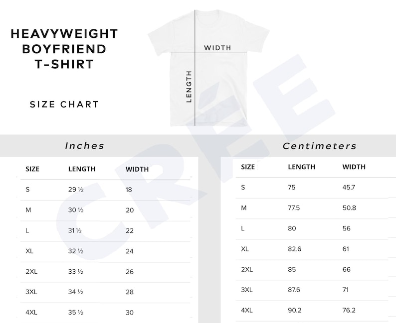 Fourth Wing book heavyweight boyfriend fit t-shirt | hair color & skin options immagine 4