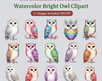 Bright Owl Clipart Bundle | 21 Watercolor Owl PNG Files for Crafts, Scrapbooking & Digital Design