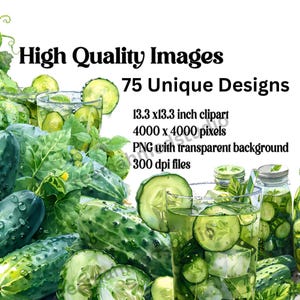 Cucumber Clipart PNG Bundle: Fresh Vegetable Graphics for Crafts