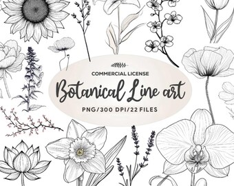 22 Botanical Line Art Designs | Minimalist Floral Clipart PNG Bundle | Commercial Use & Transparent Background