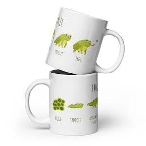 May include: Two white ceramic mugs stacked vertically, featuring a green graphic illustration of the frog life cycle. The design includes labels for eggs, tadpole, tadpole with 2 legs, froglet, and frog, with green text detailing each stage.