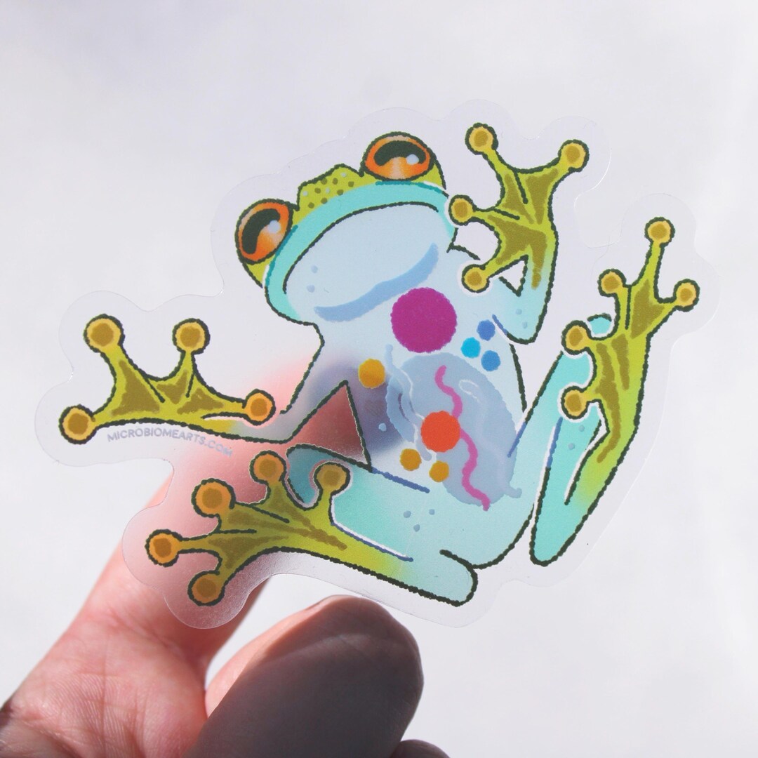 Tree Frog Sticker Glass Tree Frog Sticker | Terrarium Pet Amphibian Animal Transparent - Etsy