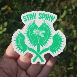 May include: A green and white sticker featuring a Venus flytrap design with the words "STAY SPIKY" in green. The sticker has a fly in the center of the plant. The sticker is held in a hand against a background of green foliage.