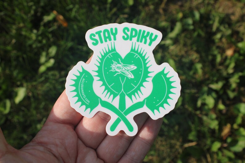 May include: A green and white sticker featuring a Venus flytrap design with the words "STAY SPIKY" in green. The sticker has a fly in the center of the plant. The sticker is held in a hand against a background of green foliage.