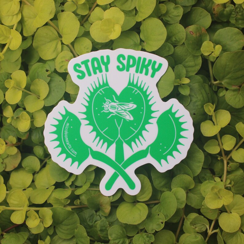 May include: A white sticker with a green Venus flytrap design and the text "STAY SPIKY". The flytrap illustration includes a fly and the website address microbiomearts.com. The sticker is set against a background of green leaves.
