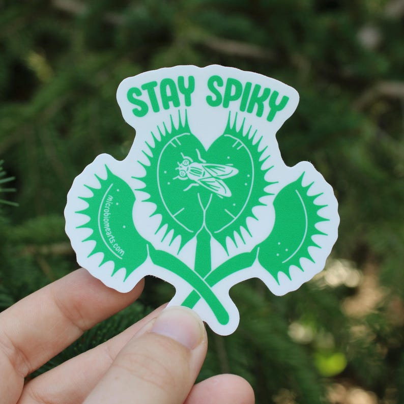 May include: A green sticker featuring a Venus flytrap design with a fly inside. The sticker has the words "STAY SPIKY" in white at the top. The sticker is held in a hand against a blurred green background.